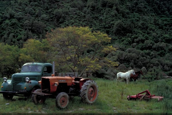 Robin Morrison, Truck, tractor and horse, location unknown, 1982