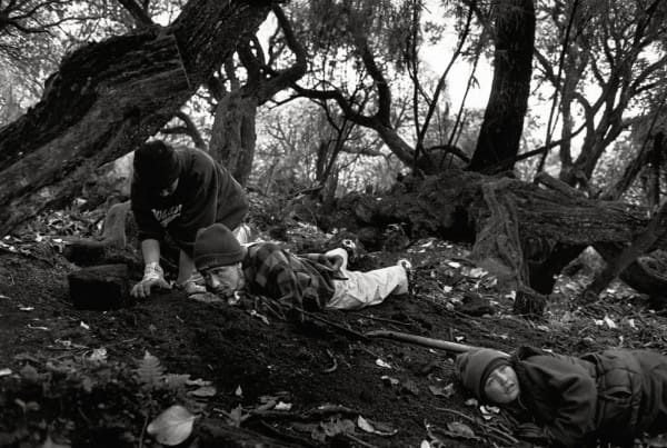 Bruce Connew, Muttonbirds - part of a story #17, 2002