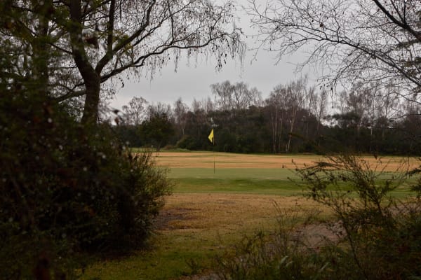 Neil Pardington, Motutara Golf Course, Rotorua, 2009