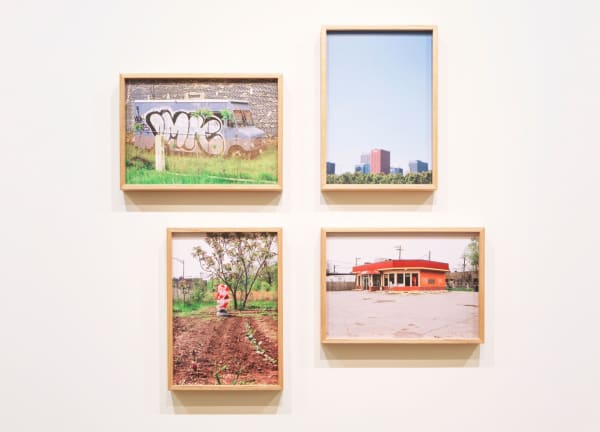 Wayne Youle, Take the 6: Truck, Skyline, Santa's Garden, Tacos, 2009