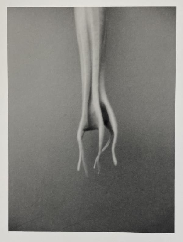Peter Peryer, Tendril, 2006