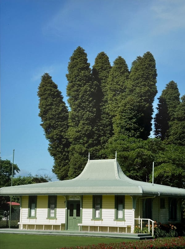 Peter Peryer, Pavilion, Rotorua, 2010