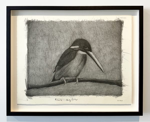 Richard Lewer, Azure Kingfisher, 2024