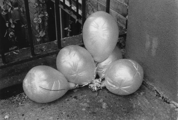 Neil Pardington, Balloons, 1998