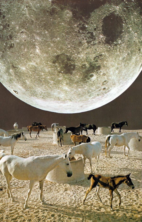 Megan Archer, Space Ranch, 2024