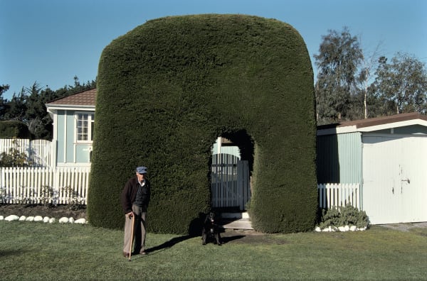 Robin Morrison, Hedge, Leithfield Beach, 1979