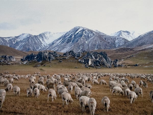 Peter Peryer, Canterbury Landscape, 2004