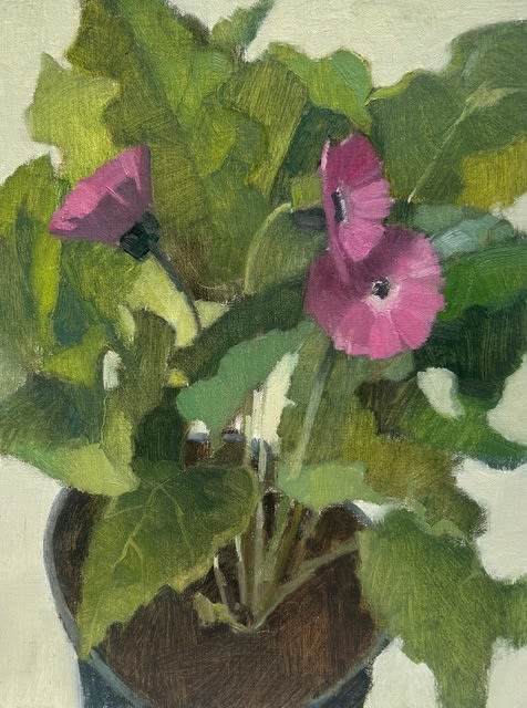 Shirley Claire Williams, Ordinary Beauty, 2025