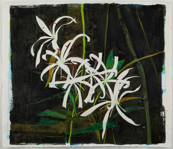 Scott Kelley, Swamp Lily, Big Cypress, 2019