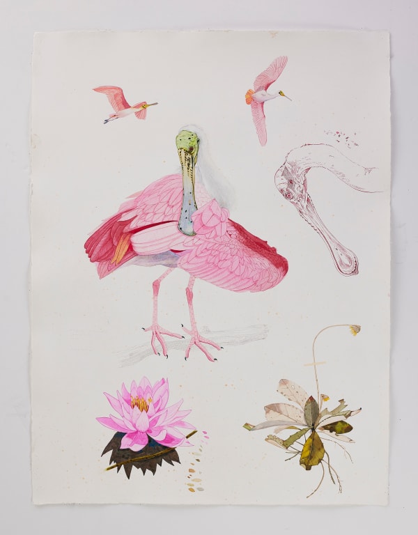 Scott Kelley, UPSIDAISIUM - Roseate Spoonbill, 2025