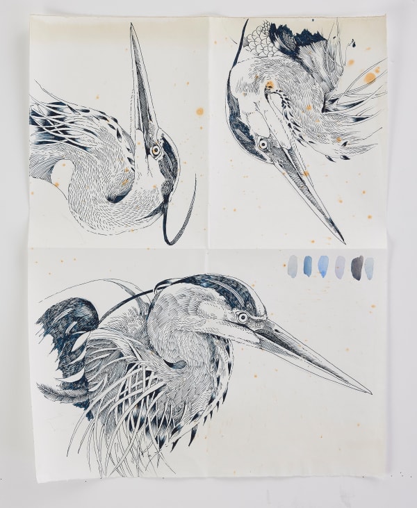 Scott Kelley, From of Book of Herons, 2025