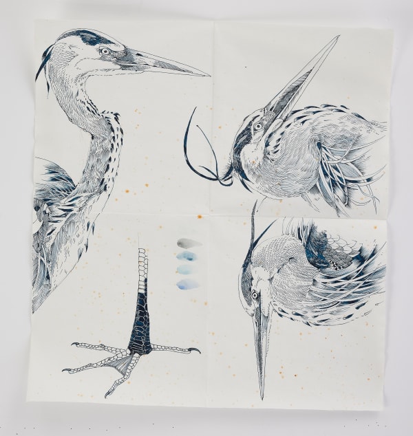 Scott Kelley, From of Book of Herons, 2025