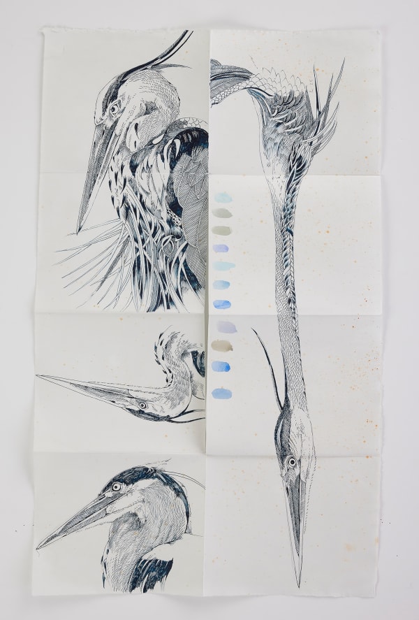 Scott Kelley, From of Book of Herons, 2025