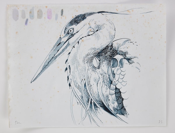 Scott Kelley, From of Book of Herons, 2025