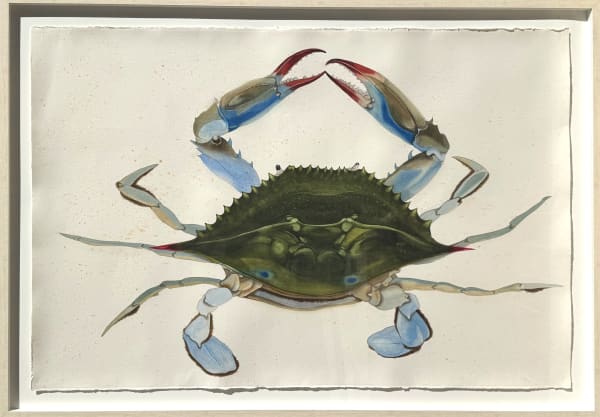Scott Kelley - Blue Crab (for Stuart Lester), 2025