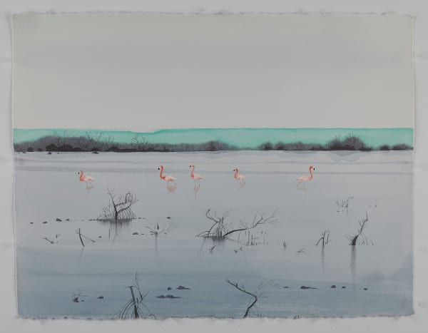 Scott Kelley, Lake Rosa, Inagua, 2020