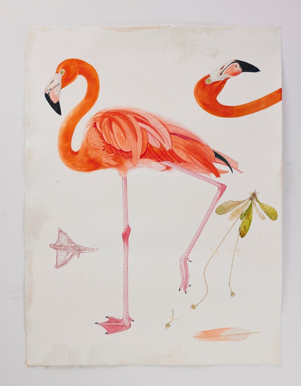 Scott Kelley, UPSIDAISIUM - Flamingo, 2025