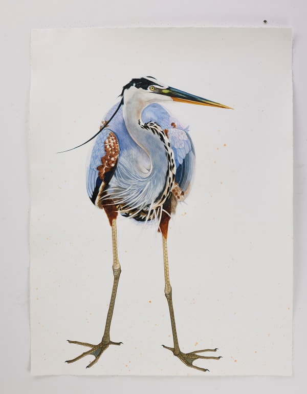 Scott Kelley, UPSIDAISIUM - Great Blue Heron, 2025