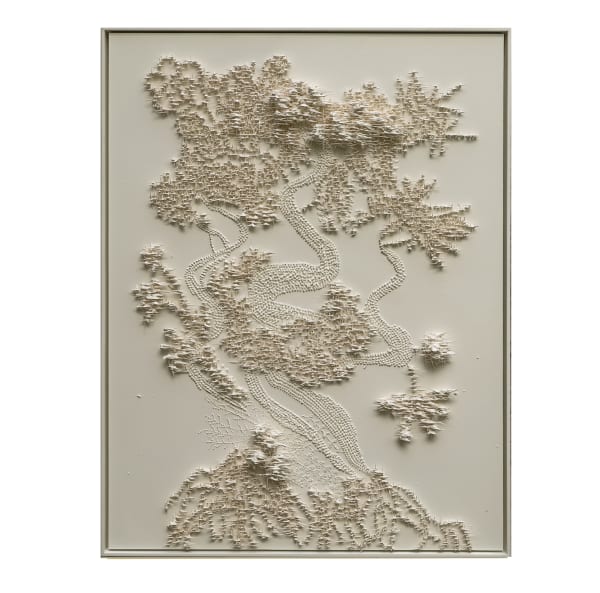 Susana Anaya, Tree of life II, 2025