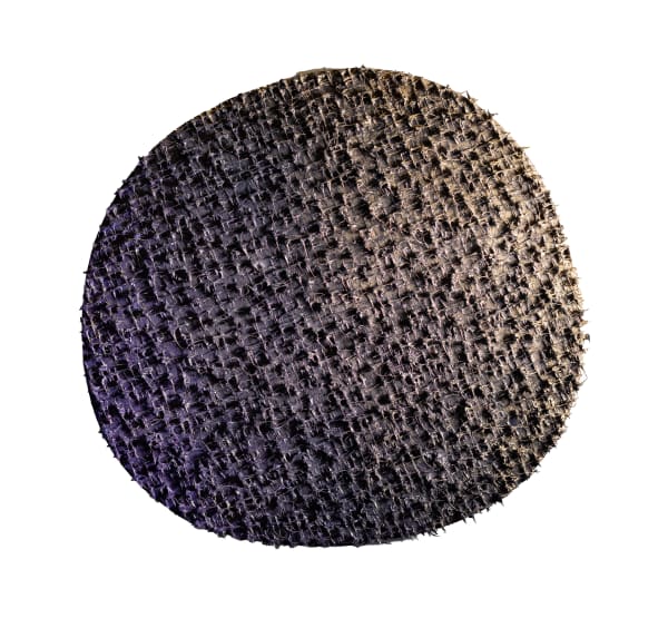 Susana Anaya, Aurora Blossom, 2022