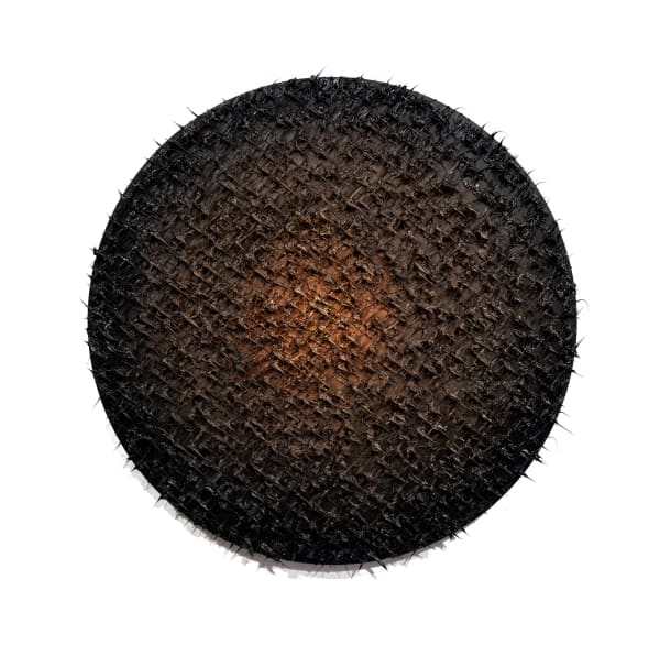 Susana Anaya, Ethereal Metamorphosis, 2023