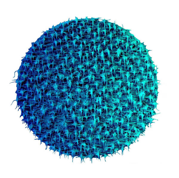 Susana Anaya, Untitled, 2022