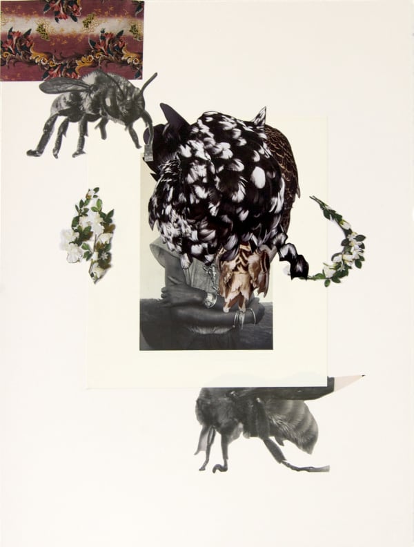 Collage featuring woman cut from ethnographic publication, bee, feathers