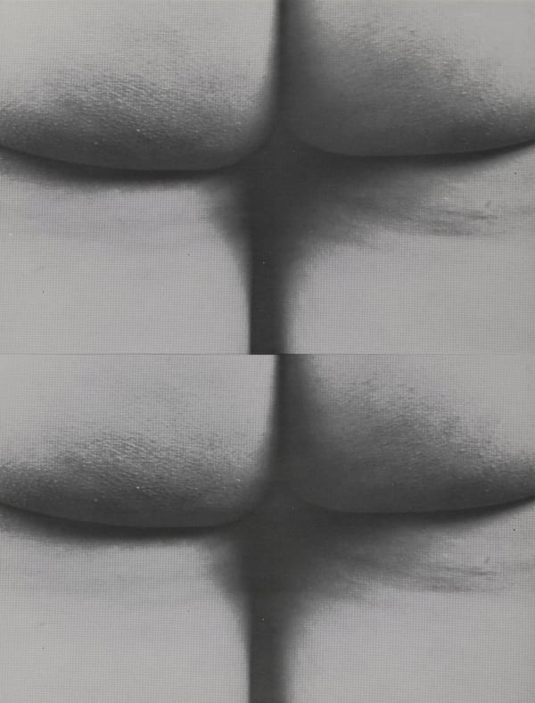 YOKO ONO, GEORGE MACIANUS, Assholes Wallpaper / Fluxus Wallpaper (No. 4), 1968/1973