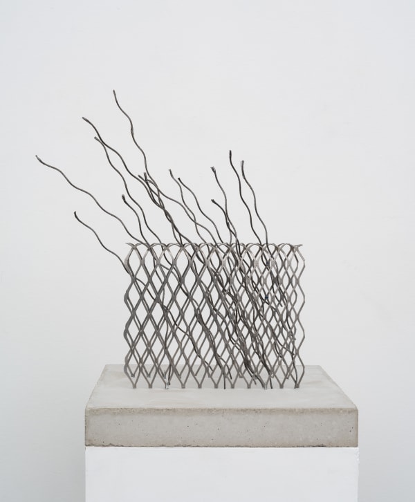 Growing II, 2025