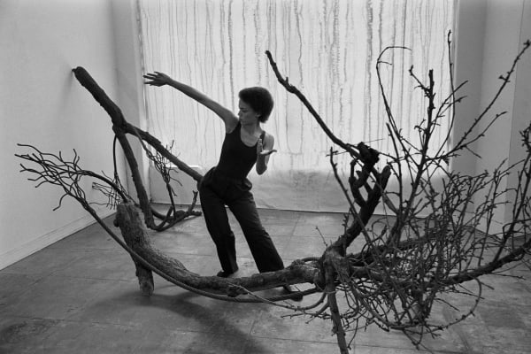 Tree Duet II, 5617 San Vicente Blvd, Los Angeles, 1977/2021