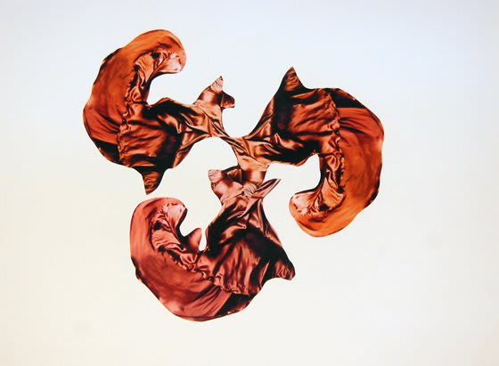 San Diego Rose I, 2011