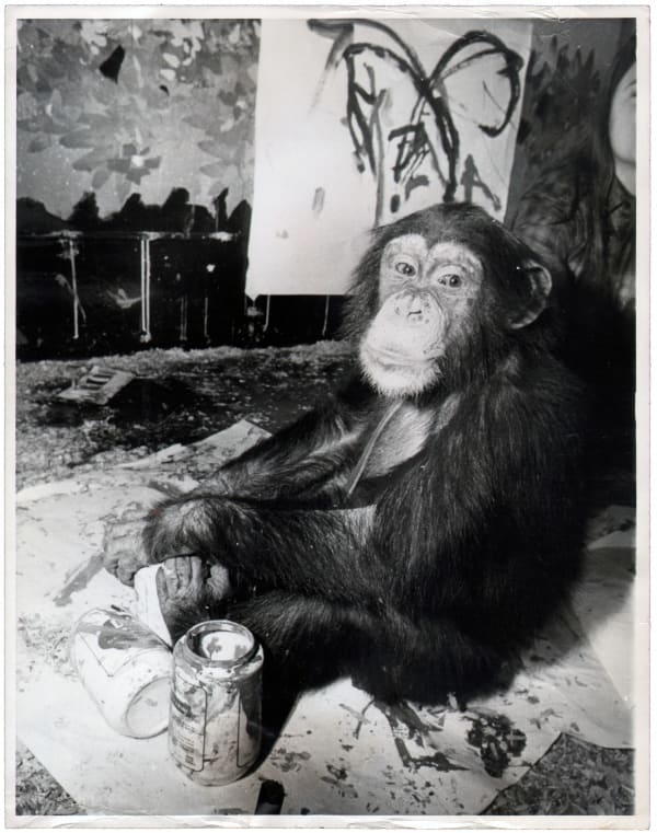 Black and white photograph of a chimpanzee sitting with paints, looking at camera