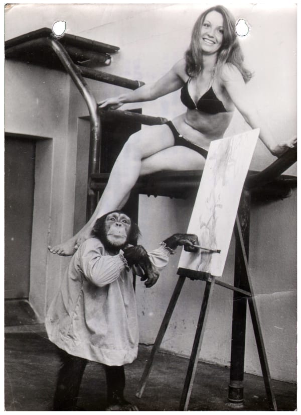Chimpanzee in an artist's smock paints at an easel with a bikini clad model sitting above