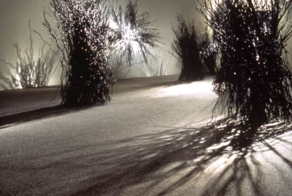 On Dangerous Ground, 1981