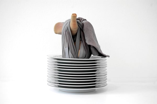 Elephant wrapped in gray hose standing on China plates