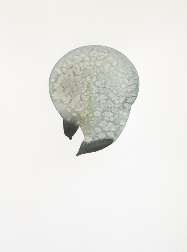 The Grey Series VII, 2015