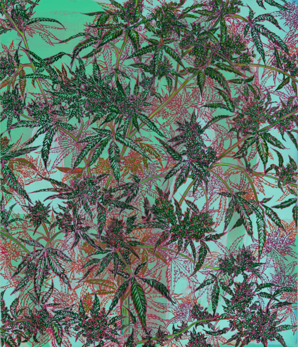 The Freed Weed / Summer, 2022