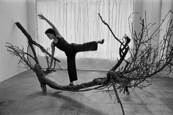Tree Duet I, 5617 San Vicente Blvd, Los Angeles, 1977/2021