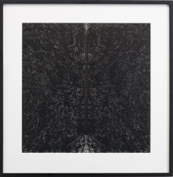 UNTITLED, JANUARY 17, 1993, 1993