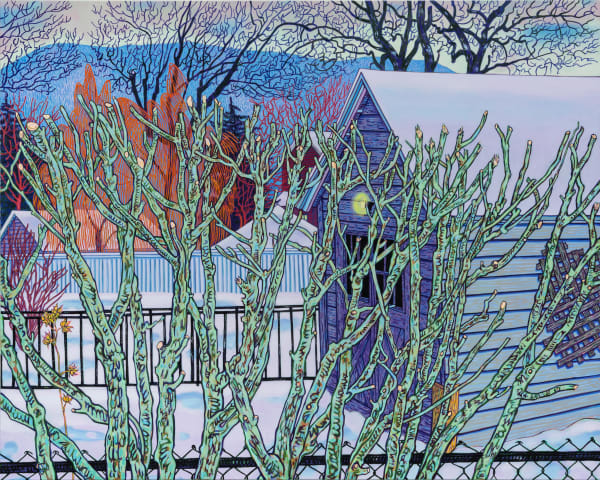 Rose of Sharon in Winter, 2022