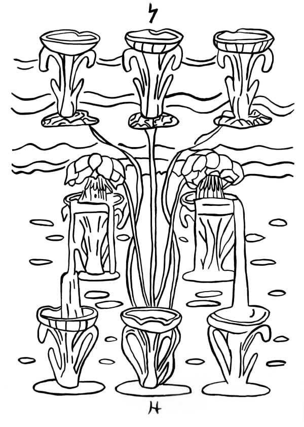 VIII Cups of Indolence, 2018/2020