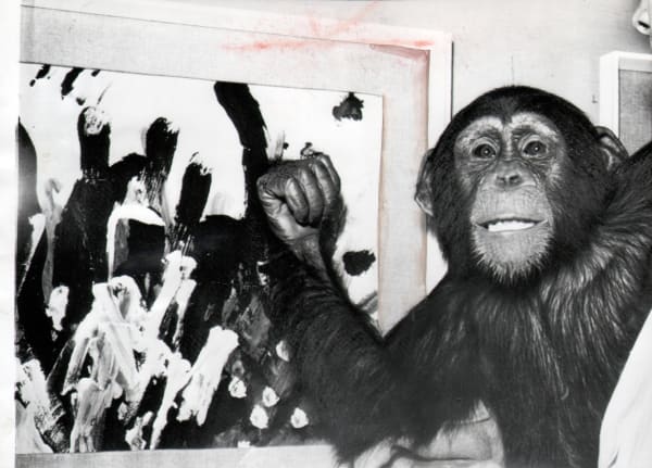 Black and white photograph of a chimp posing with one of their paintings
