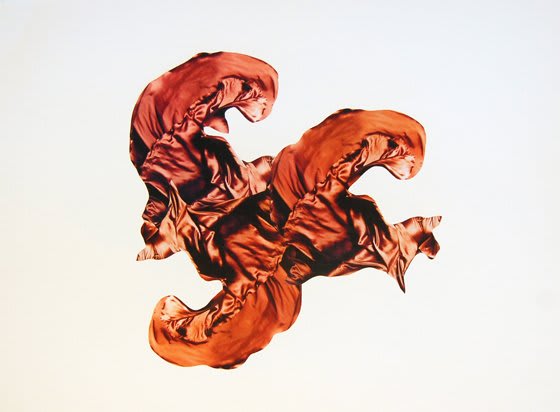 Collage forming an abstract red shape with three curves