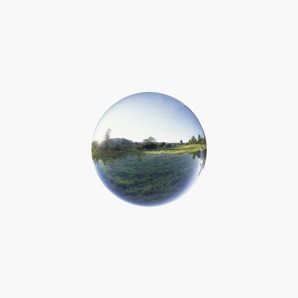 Crystal Ball, 2011