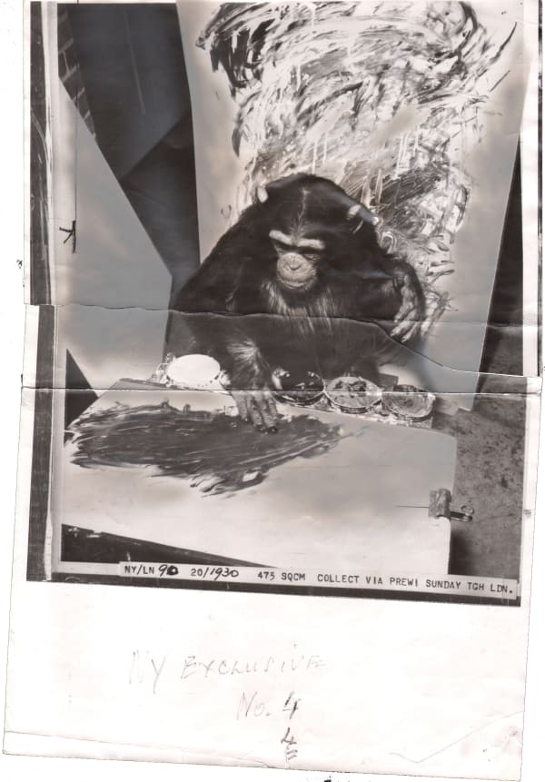 Black and white photograph of a monkey painting with earlier work behind them