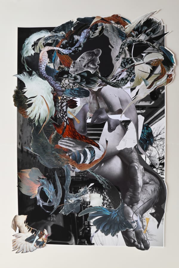 For Southern Kaduna I – Grief, A Many Feathered Thing, 2017-2020