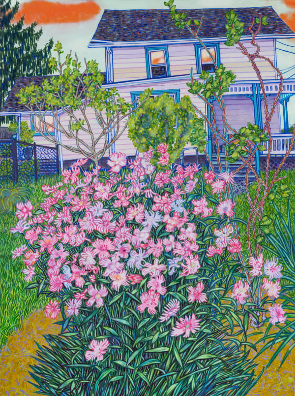 Dianthus, 2025