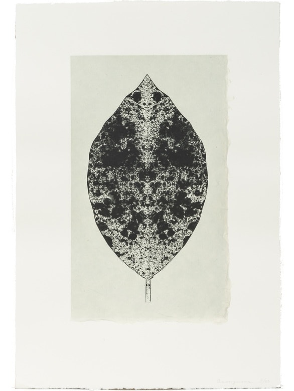 Leaf, 2001