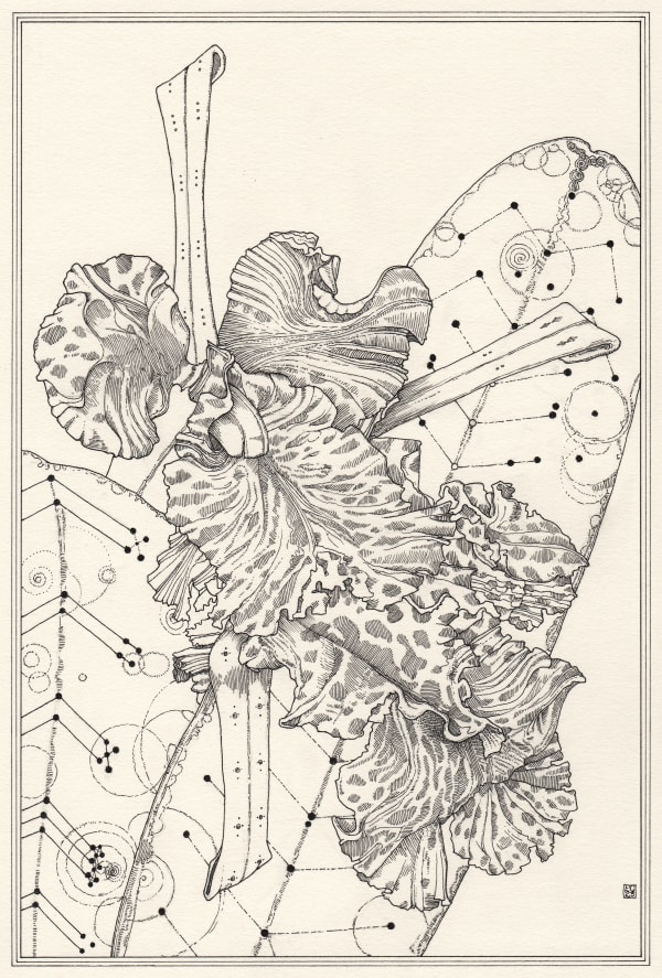 FVAC 117 (Floral Veins and Conduits: Folding Petals), 2023