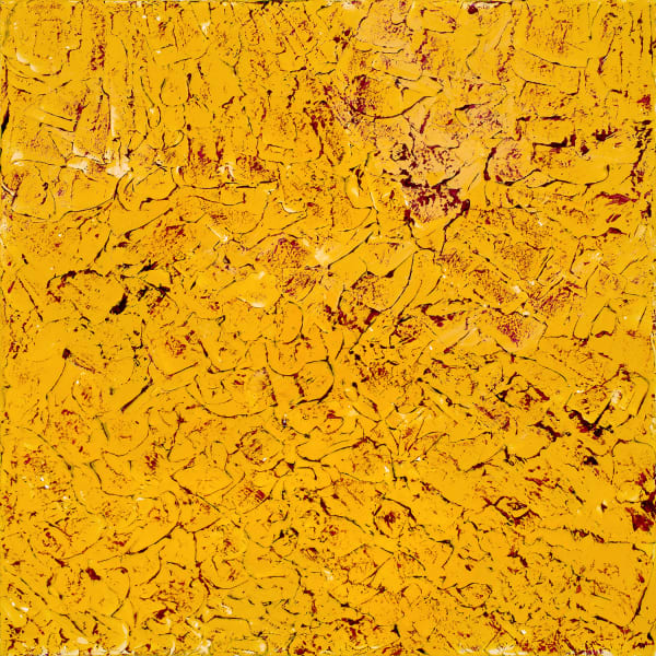 Fragmented 4, 2016 20 x 20 in 50.8 x 50.8 cm